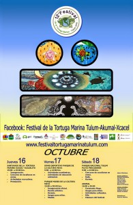 Festival de la Tortuga