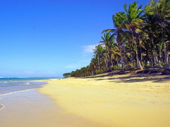 experiences that you can not miss out on in Punta Cana
