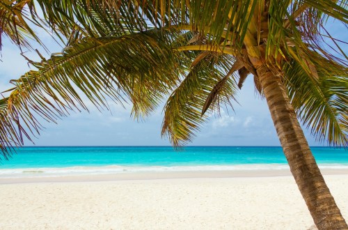 6 essentials do in Punta Cana