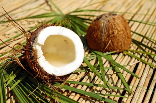 The benefits of coconut for your body