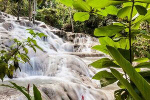 cascadas jamaica