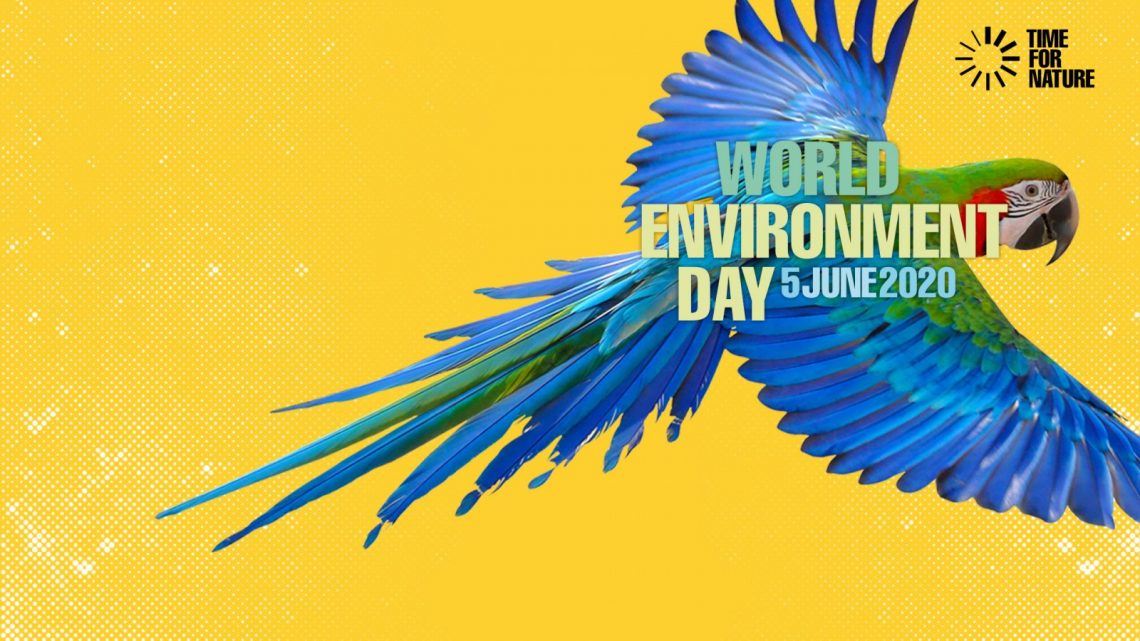 World environment day, time for nature