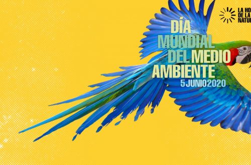 Día mundial del medio ambiente, la hora de la naturaleza Día mundial del medio ambiente, la hora de la naturaleza