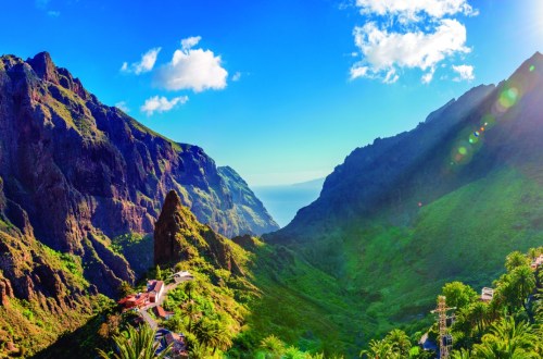 Typical Canarian food: the dishes you must try! | Bahia Principe