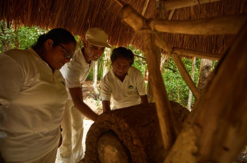 Fauna Mexicana Los Animales Más Exóticos de México | Bahia Principe