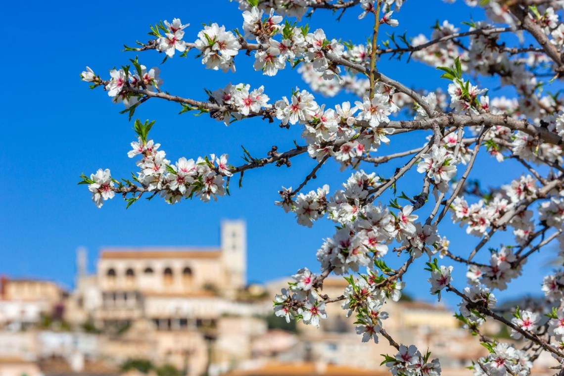 Descubre Mallorca en primavera